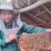 Your kind-hearted support is sweeter than honey!